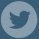 Logo Twitter twitter icon